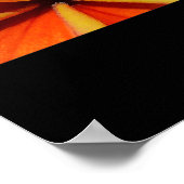 Poster Frangipanier (Coin)