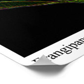 Poster Frangipanni (Coin)