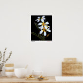 Poster Frangipanni (Cuisine)