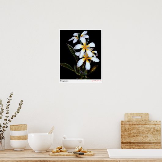 Poster Frangipanni (Cuisine)