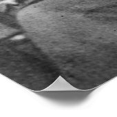 Poster Franklin Pierce (Coin)