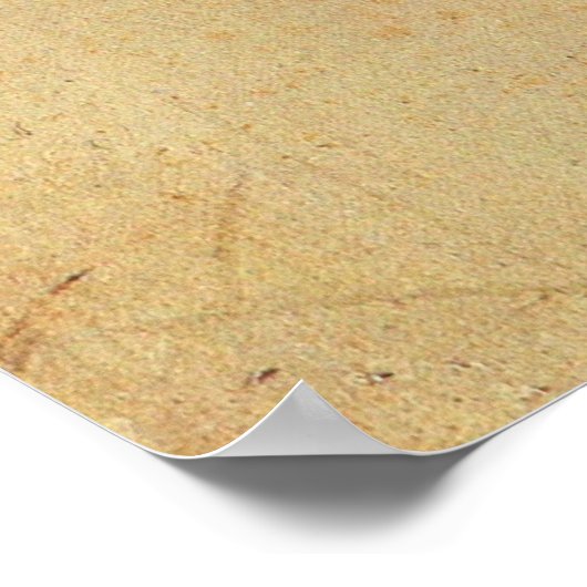 Poster Franz Liszt (Coin)