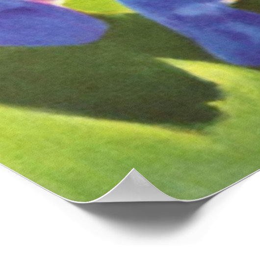 Poster Franz Marc - Cheval Bleu I 1911 Equine Equestrian (Coin)