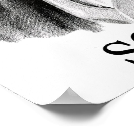 Poster Franz Schubert, noir (Coin)