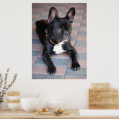 Poster Französisch Bulldog (Cuisine)