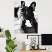 Poster Französisch Bulldog (Bureau à domicile)