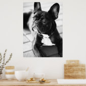 Poster Französisch Bulldog (Cuisine)