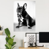 Poster Französische Bulldogge (Bureau à domicile)