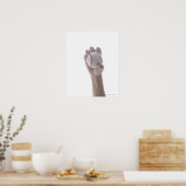 Poster Frappe. (Cuisine)