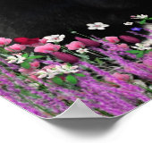 Poster Frappes en Fleurs II - Tuxedo Kitty Cat (Coin)
