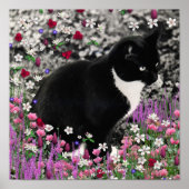 Poster Frappes en Fleurs II - Tuxedo Kitty Cat (Devant)