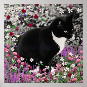 Poster Frappes en Fleurs II - Tuxedo Kitty Cat