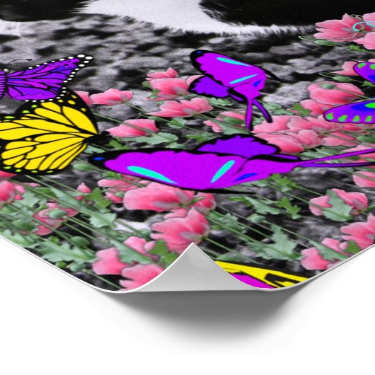 Poster Frapules dans Butterflies II - Tuxedo Cat (Coin)