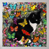 Poster Frapules en papillons - Tuxedo Kitty (Devant)