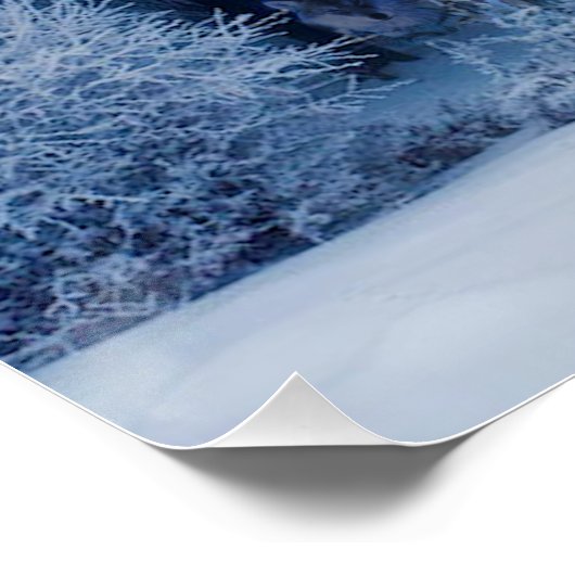 Poster Fraternité (Coin)