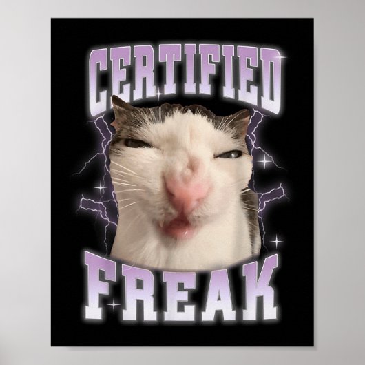 Poster Freak certifié Mange Ciment Chat maudit Drôles de (Devant)