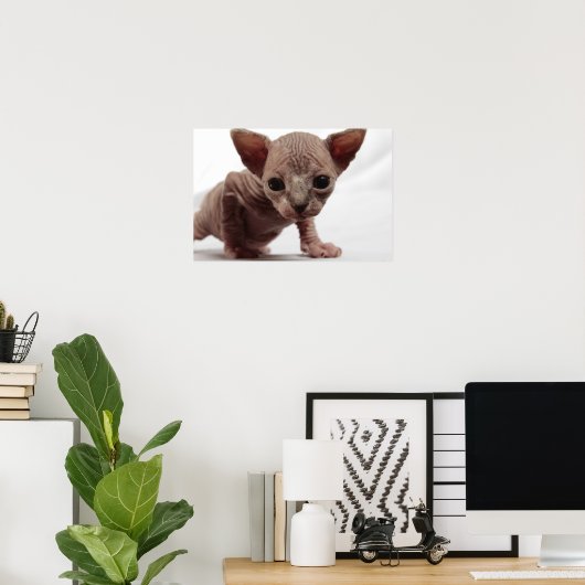 Poster Freaky Cute Furless (Bureau à domicile)