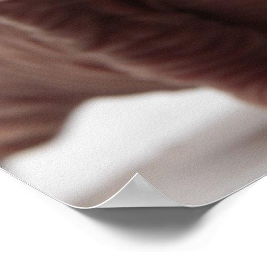 Poster Freaky Cute Furless (Coin)