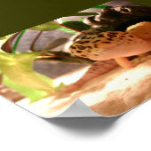 Poster Freddy (Coin)