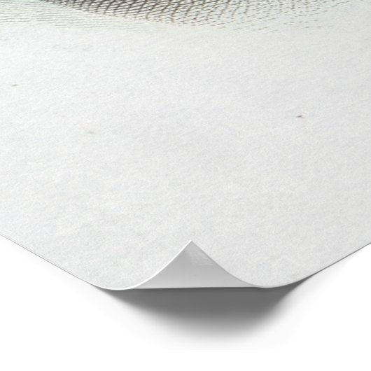 Poster Frederic Chopin (Coin)