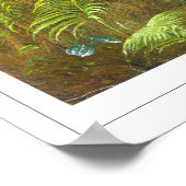 Poster Frederic Edwin Church Fine Art #651 (Coin)