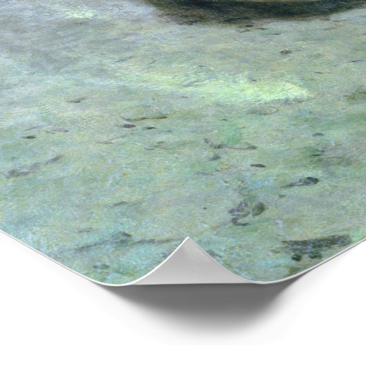 Poster Frédéric Remington (Coin)