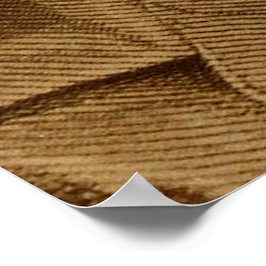 Poster Frederick Douglass (Coin)