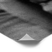 Poster Frederick Douglass Portrait de George K. Warren (Coin)