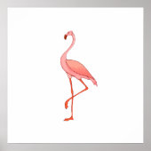 Poster Frederick Flamant rose (Devant)