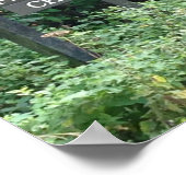 Poster Free Range Children signe, amusant (Coin)
