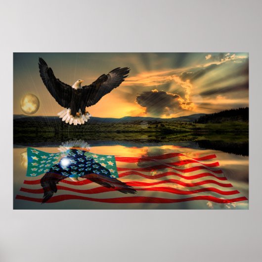 Poster Freedom-Eagle-W-Flag-W-Star-burst-2010 (Devant)