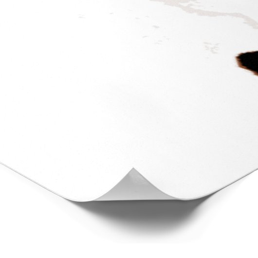 Poster Freedom Eagles Imprimer (Coin)