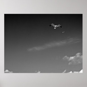 Poster Freedom in BW