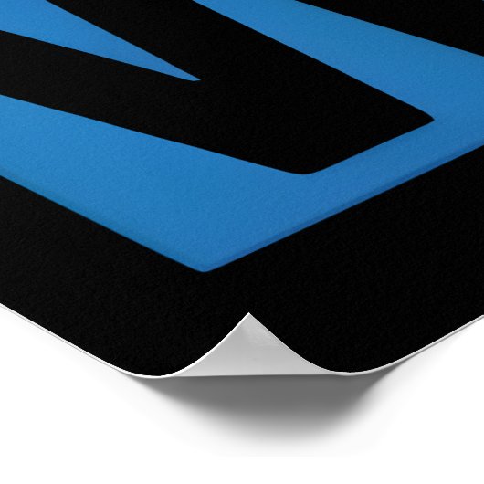 Poster Freedom Is not Free – Thank You, Veterans, 2025, (Coin)