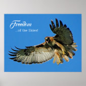 Poster Freedom of the Skies Red-tailed Hawk (Devant)