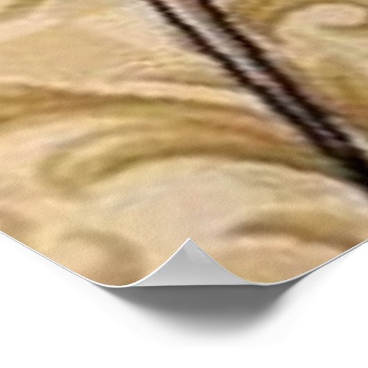 Poster Freemason (Coin)