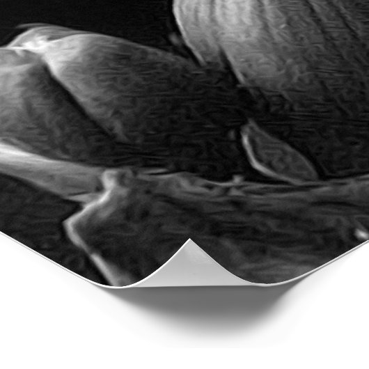 Poster Freesia (Coin)