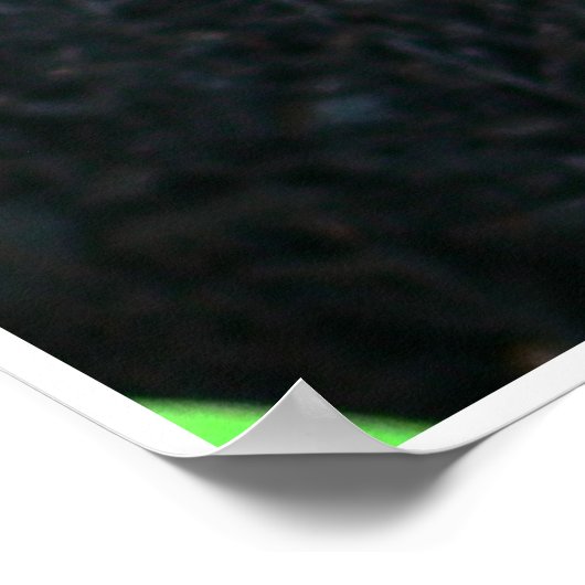 Poster Freesia Bright (Coin)