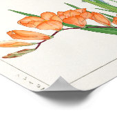 Poster Freesia, lis africain par Tanigami Konan (Coin)