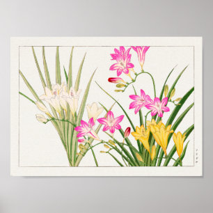 Poster Freesia par Tanigami Konan