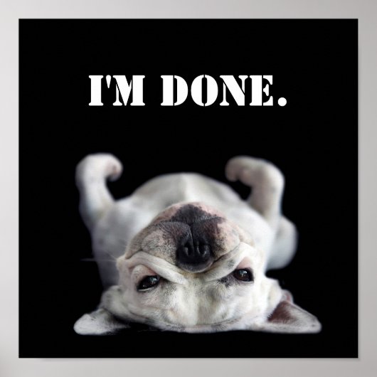 Poster French Bulldog (Devant)