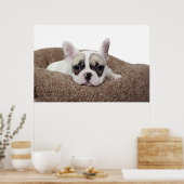 Poster French Bulldog Puppy Lying (Cuisine)