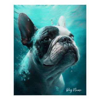 Poster French Bulldog swimming in water 011