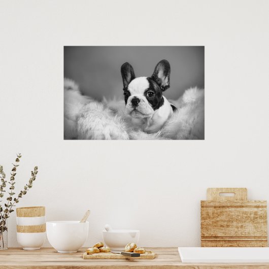 Poster Frenchie - Chien français (Cuisine)