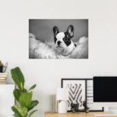 Poster Frenchie - Chien français (Bureau à domicile)