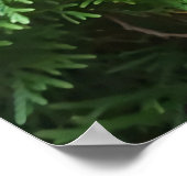 Poster Frenchy on Patrol (Coin)