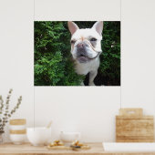 Poster Frenchy on Patrol (Cuisine)