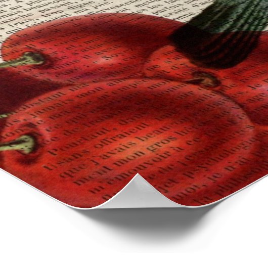 Poster frentry bird retro botanical red cherry (Coin)