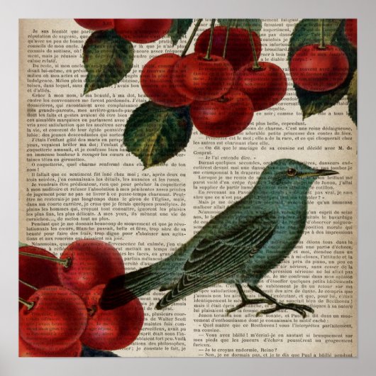 Poster frentry bird retro botanical red cherry (Devant)