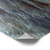 Poster Frères (Coin)